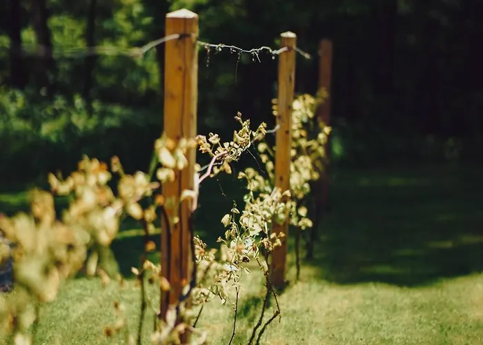 Sonnenblick Gæstehus