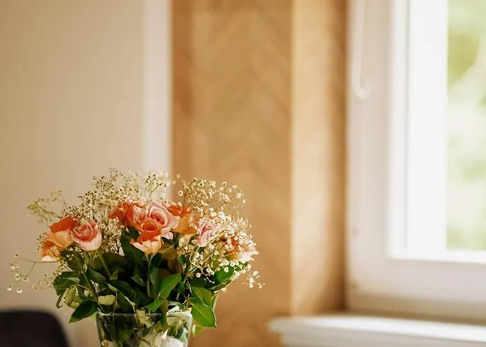 Sonnenblick Polanica-Zdrój